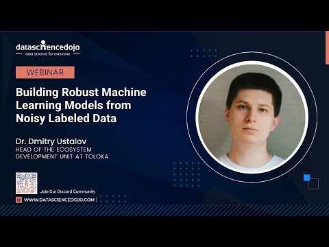 Building robust machine learning models from noisy labeled data