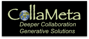CollaMeta